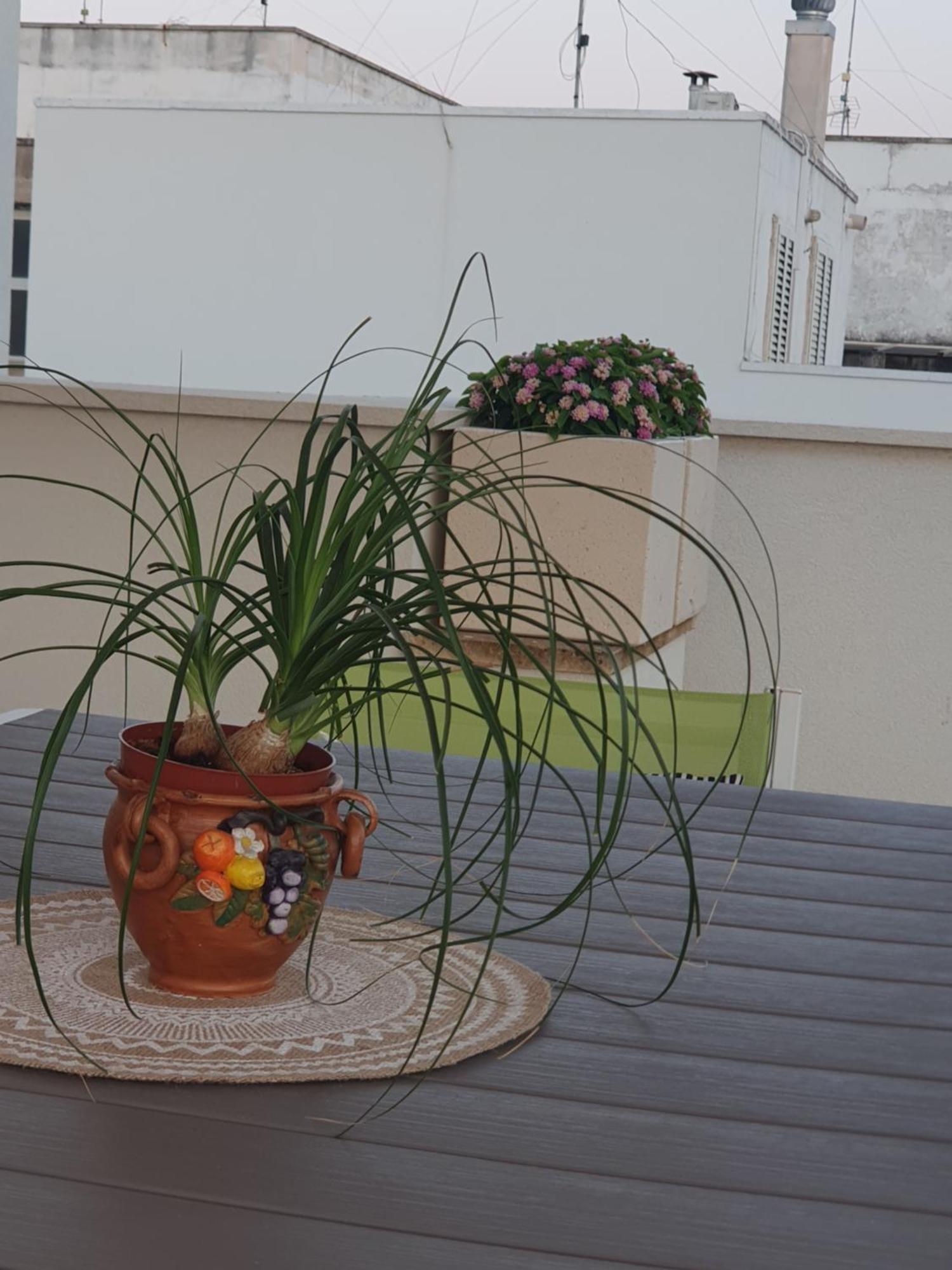 Corte Cesarina Apartment