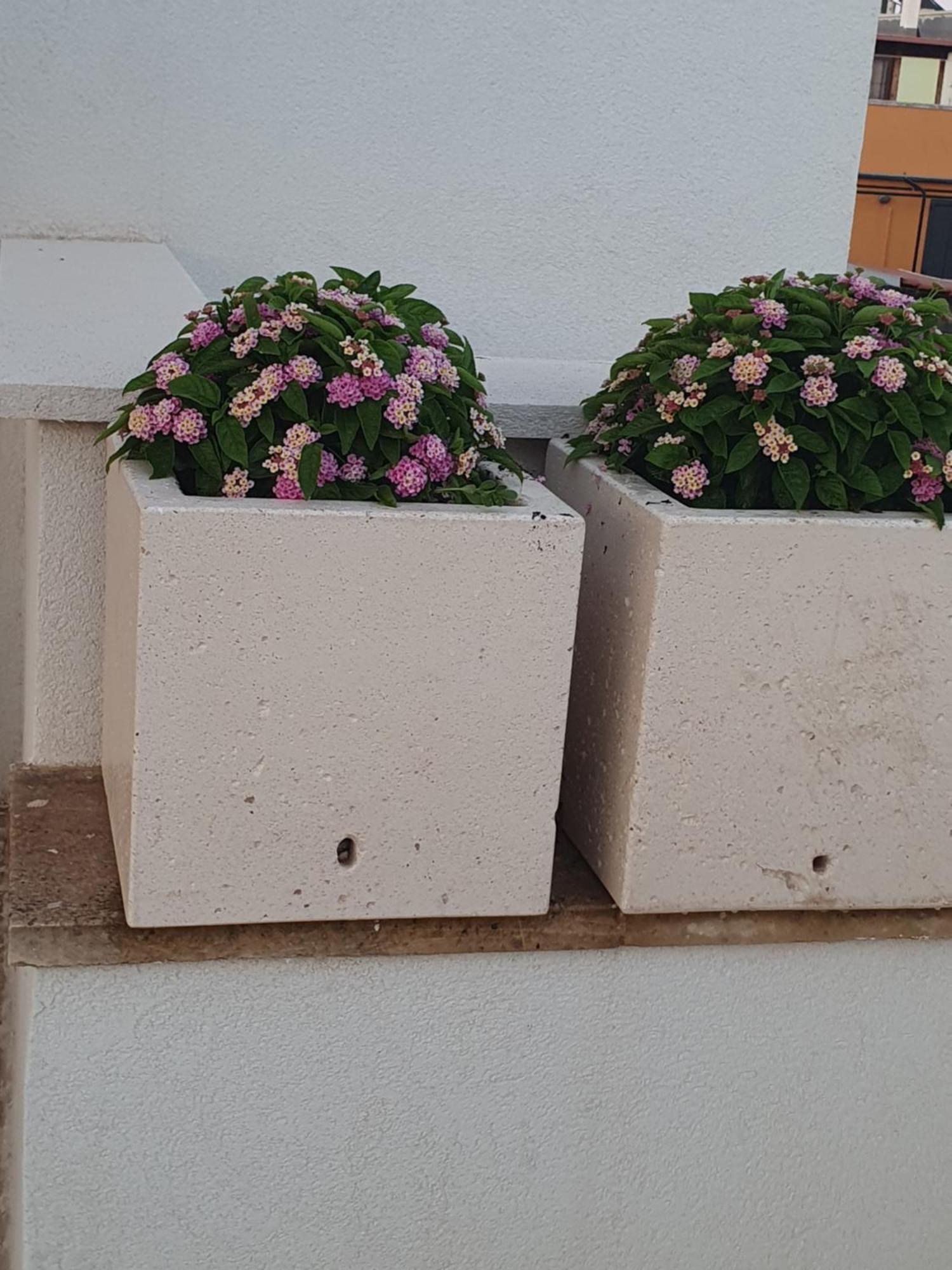Corte Cesarina Apartment Porto Cesareo